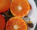 A picture of step 2 of Orangelicious Guava.