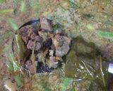 Foto langkah ke 4 dari resep Rawon Daging.