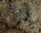 A picture of step 5 of Maqluba with Chicken and Vegetables.