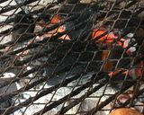 Foto del paso 1 de la receta: Carnes al Carbón Improvisadas en el Momento