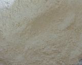 A picture of step 1 of Jaggery Wheat Halwa.