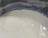 A picture of step 1 of Greek yogurt at Home.