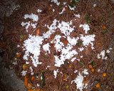 ராகி சேமியா(ragi semiya recipe in tamil) ரெசிபி ஸ்டேப் 3 புகைப்படம்