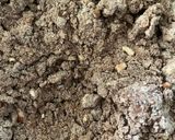Foto del paso 3 de la receta: Cocadas con proteína ⚡️