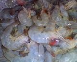 รูปขั้นตอนการทำที่ 1 ของ ต้มยำกุ้ง!