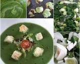 Sig's Green Soup with Spinach, Leeks and Fennel recipe step 5 photo