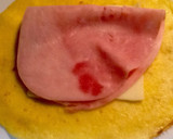 Foto del paso 4 de la receta: Crepes de jamón y queso con bechamel