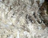 A picture of step 1 of Instant ragi uttapam.