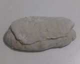 Foto langkah ke 11 dari resep Moringa Jinten Hitam Italian Herbs Cheese Sourdough Bread (Oven Tangkring).