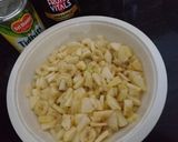 A picture of step 5 of PineApple Chat.