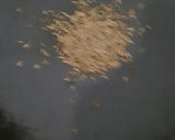 A picture of step 5 of Minty Moong Daal.