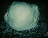 Foto del paso 3 de la receta: Bizchochitos de grasa riquísimos👌👍