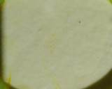 Foto langkah ke 2 dari resep Bluder Cake Pisang Kukus.