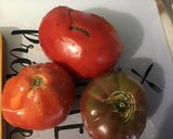 Une image de l'étape 3 de Salade aux deux tomates, concombre et feta sauce melfor.
