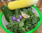 Foto langkah ke 1 dari resep Sayur Bening Bayam Jagung Manisa Labu Siam / Jangan Bening 😋.