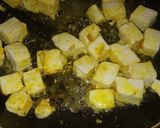 શાહી પનીર(Shahi paneer Recipe in Gujarati) રેસીપી સ્ટેપ5ફોટો