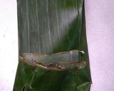Foto langkah ke 5 dari resep Bandeng pepes keluwek.