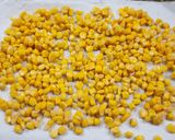 Foto del paso 5 de la receta: 🌽Corn fritters by Gordon Ramsay 🌽 Bocaditos de choclo, jalapeño y cilantro 🌽 Receta viral #10 🌽