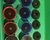 Foto langkah ke 7 dari resep Agar-Agar Cokelat ala Putu Ayu.