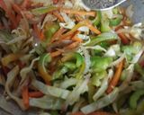 A picture of step 3 of Spring Rolls.