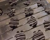 A picture of step 3 of Choco Walnut.
