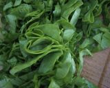 A picture of step 1 of Palak Lachha Paratha (Layered Spinach Paratha).