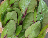 சிவப்பு பசலைக்கீரை மசியல் ரெசிபி ஸ்டேப் 1 புகைப்படம்