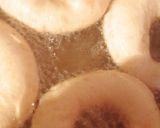 Foto del paso 4 de la receta: Donas