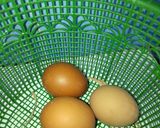 Foto langkah ke 1 dari resep Tahu Sarang Burung Bihun Jagung.