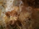 Chicken Qorma