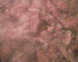 A picture of step 2 of Philly cheese steak sandwich.