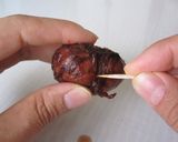 A picture of step 8 of Classic Chestnuts Simmered in Inner Skins.