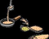 A picture of step 1 of Pannekoek (pancake).