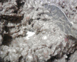 A picture of step 6 of Refried Beans ... My Version.