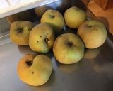 Une image de l'étape 3 de Tarte aux pommes toute simple (pommes Canada du jardin et pâte semi feuilletée maison).