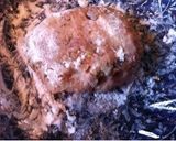 A picture of step 3 of Japanese Hamburger Steak with Leftover Okara.
