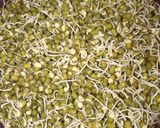 முளைகட்டிய பயறு சுண்டல் ரெசிபி ஸ்டேப் 1 புகைப்படம்