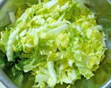 A picture of step 4 of Easy Mentsuyu Sesame Salad with Napa Cabbage and Tuna.