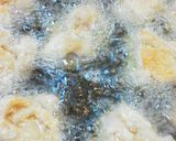 A picture of step 7 of Mayo-Karaage Fried Chicken.