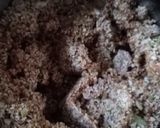 A picture of step 2 of Roasted Sunflower seeds Chocolate Bar.