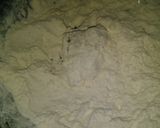 A picture of step 2 of Chicken broast.