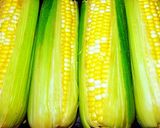 A picture of step 1 of Mike's 5 Way Corn On The Cob.