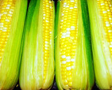 A picture of step 1 of Mike's 5 Way Corn On The Cob.