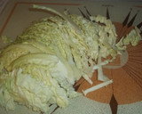 Foto del paso 9 de la receta: Carlotas especiadas y col cruda
