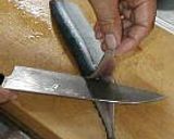 A picture of step 5 of Fresh Pacific Saury Prepared with a Home Kitchen Knife (Sashimi and Cured with Vinegar).