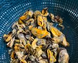 Foto langkah ke 1 dari resep Kerang Bumbu Pedas 🤤🍲 | Medok + Pedas nagih😩.