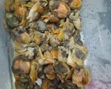 Foto langkah ke 1 dari resep Oseng kerang mercon.