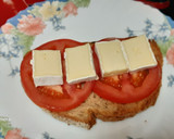 Foto del paso 3 de la receta: Tosta integral de espelta de jamón y queso brie