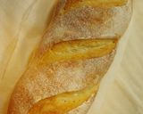 A picture of step 7 of French Bread with Homemade Bread Starter.