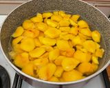 Foto del passaggio 4 della ricetta Succo di frutta alla pesca